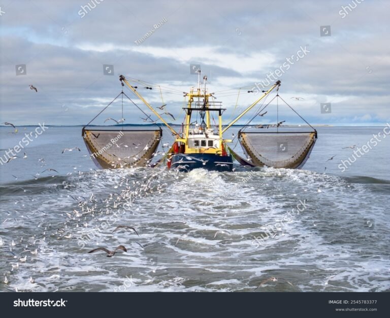 Cuánto cuesta una atarraya para pescar en Colombia 8 atarraya en un bote de pesca