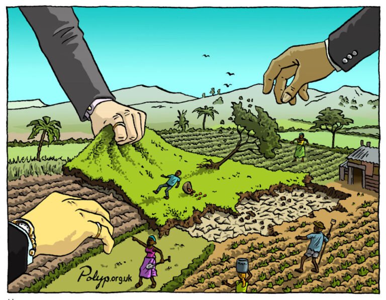 Cuánto dinero puede prestar el Banco Agrario a nuevos clientes 4 Cuánto dinero puede prestar el Banco Agrario a nuevos clientes