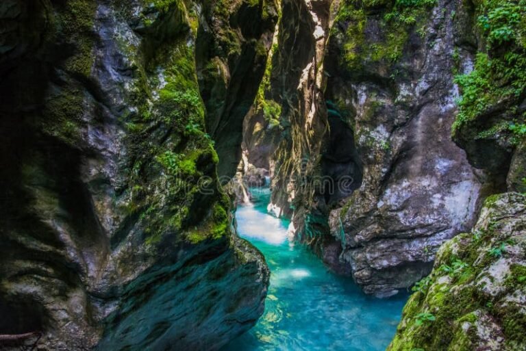 Qué actividades se pueden realizar en la Reserva Natural Cañón del Río Claro 3 Qué actividades se pueden realizar en la Reserva Natural Cañón del Río Claro
