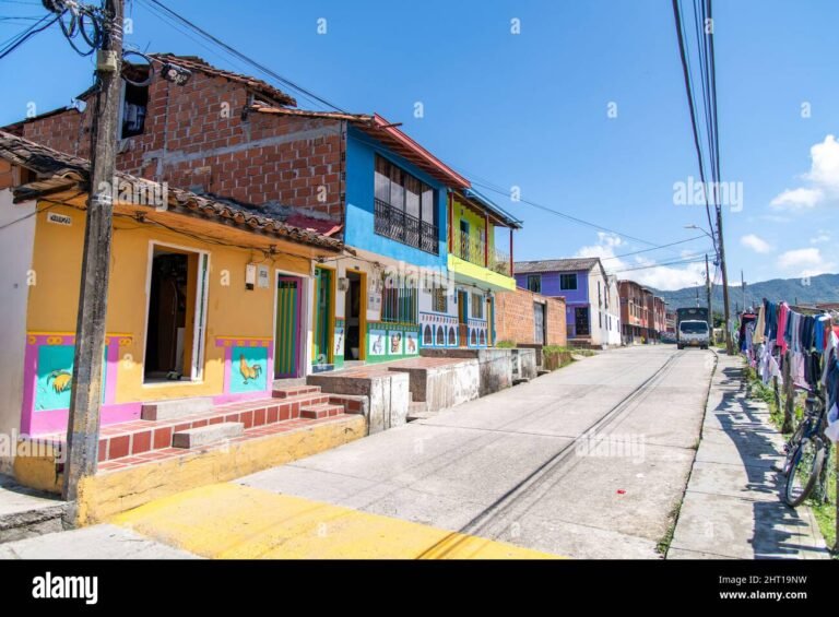 Dónde encontrar casas económicas en Ibagué para comprar o alquilar