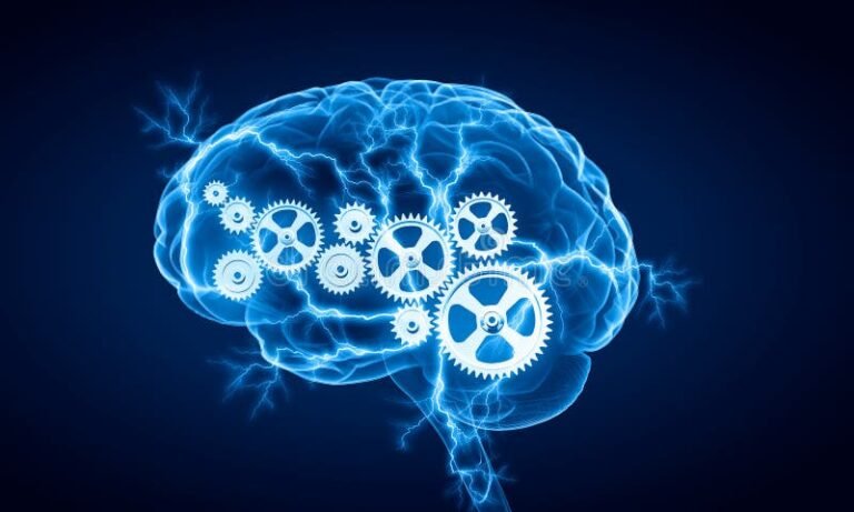 Cómo implementar la gestión del conocimiento en las empresas 2 cerebro humano con engranajes y luz