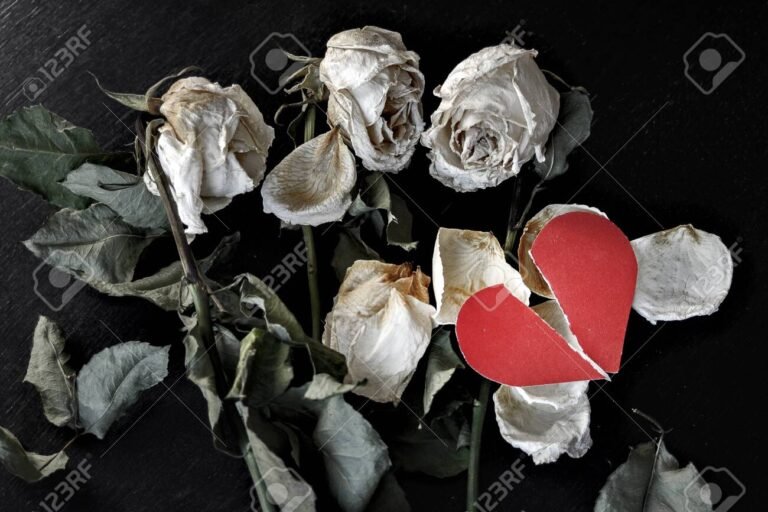 Cuál es la mejor oración para que regrese un amor perdido 7 Cuál es la mejor oración para que regrese un amor perdido