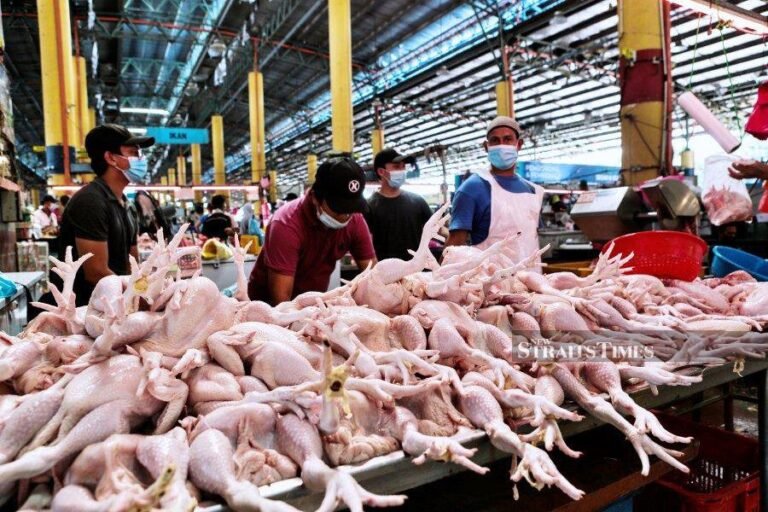 Qué beneficios ofrece una distribuidora de pollos al por mayor 7 Qué beneficios ofrece una distribuidora de pollos al por mayor