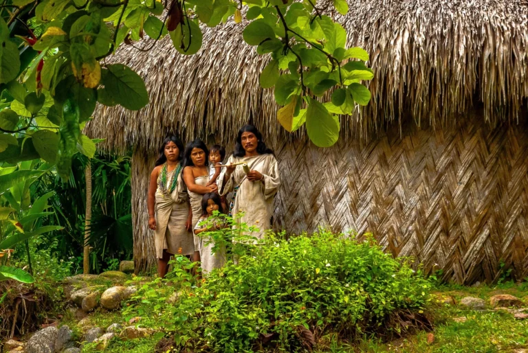 Cuáles son algunos nombres de tribus indígenas colombianas y su historia 5 Cuáles son algunos nombres de tribus indígenas colombianas y su historia