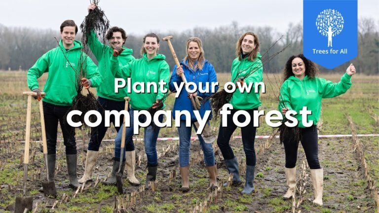 Cómo pueden las empresas contribuir al cuidado del medio ambiente 5 Cómo pueden las empresas contribuir al cuidado del medio ambiente