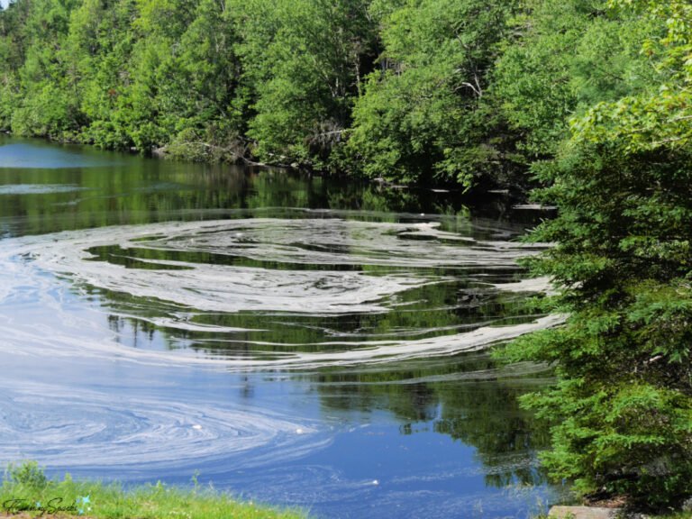 Qué causas generan espuma en el río de Mosquera, Cundinamarca 8 Qué causas generan espuma en el río de Mosquera, Cundinamarca