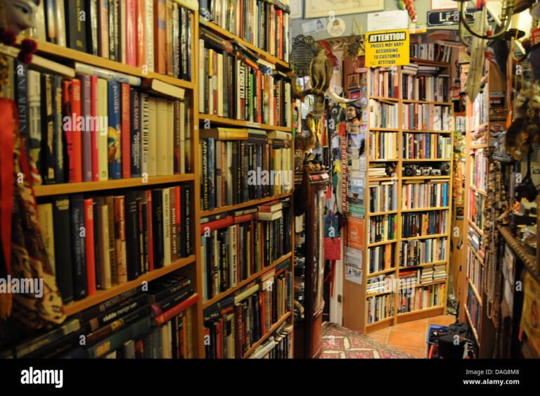 estante de libros variados en una libreria