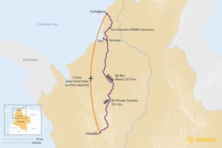 Cómo llegar de Planeta Rica a Medellín de forma rápida y fácil 8 Cómo llegar de Planeta Rica a Medellín de forma rápida y fácil