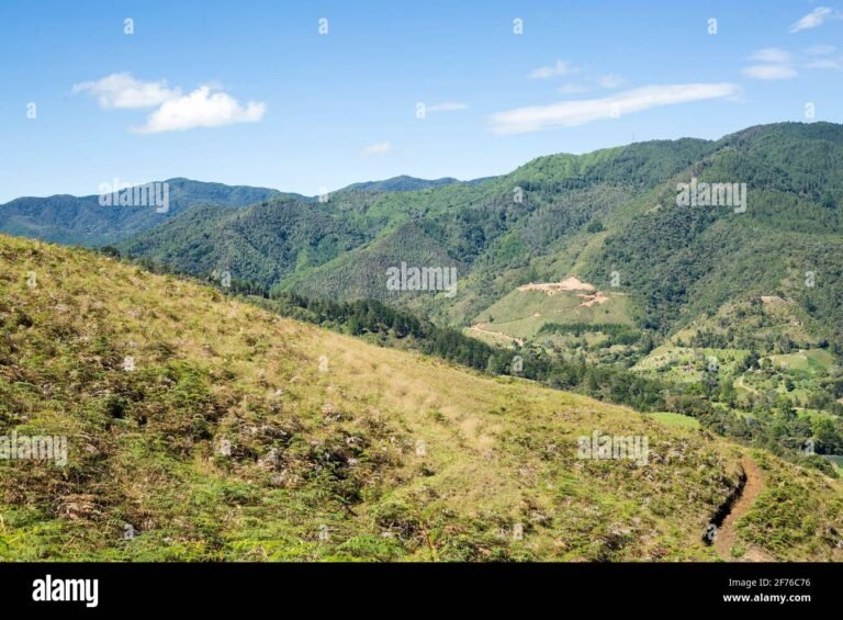 Colombia: una nación que persevera a pesar de sus desafíos 7 Colombia: una nación que persevera a pesar de sus desafíos