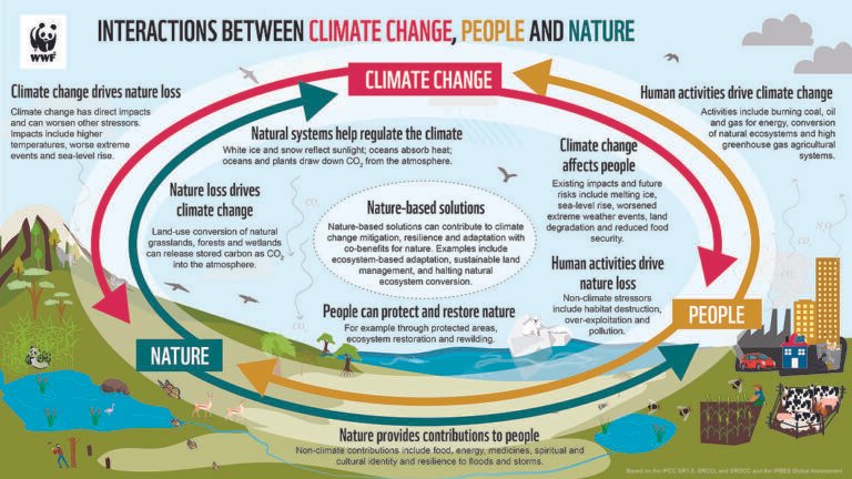 De qué manera nuestra forma de vida impacta el cambio climático 2 naturaleza afectada por el cambio climatico