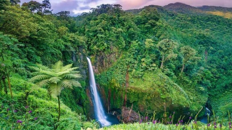 Qué requisitos necesito para emigrar a Costa Rica desde Colombia 7 Qué requisitos necesito para emigrar a Costa Rica desde Colombia