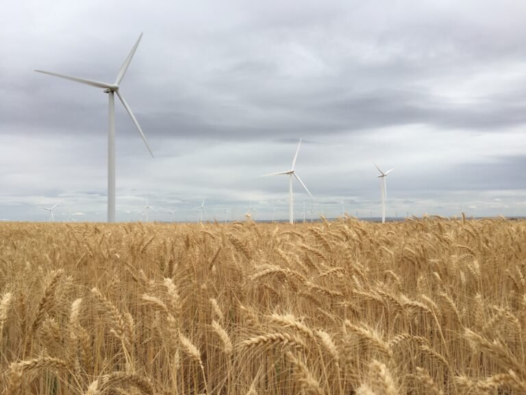 Qué temas se discutirán en la cumbre internacional de sostenibilidad e innovación ambiental 2 naturaleza y tecnologia en armonia