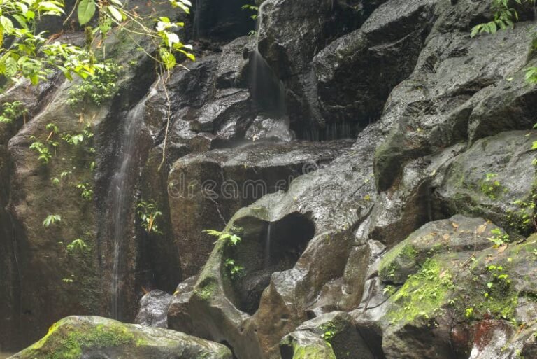 Qué significa "Pondré mi oído en la piedra hasta que hable" 18 oido apoyado en una roca natural