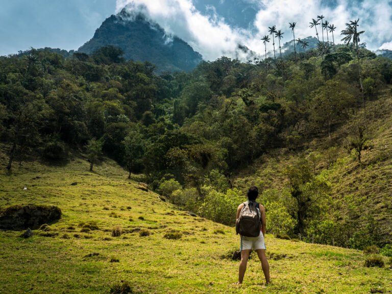 De qué trata "Colombia: una historia mínima" y su importancia 3 De qué trata «Colombia: una historia mínima» y su importancia