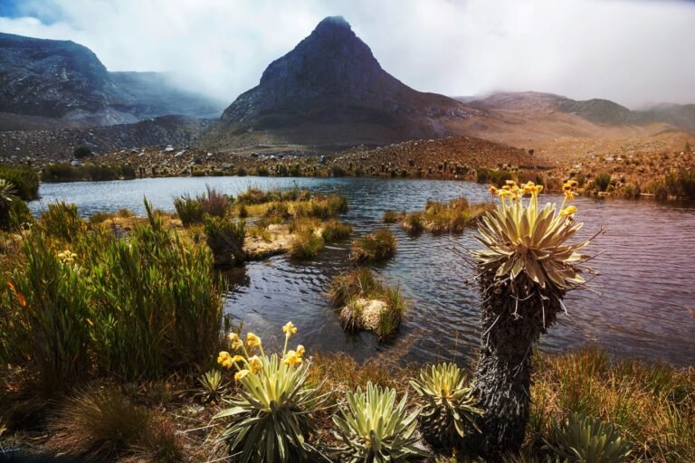 Cómo afecta el cambio climático a Colombia y sus regiones 2 paisaje colombiano con efectos del cambio climatico