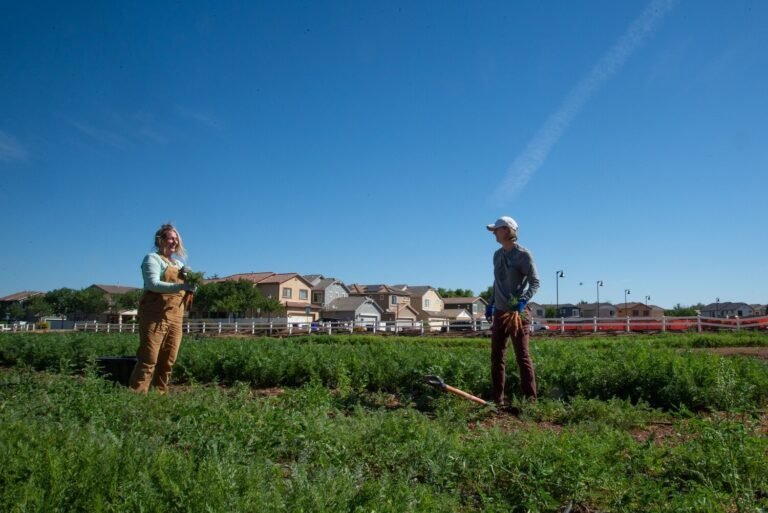 Qué actividades se pueden realizar en la finca La Mesa de los Santos 6 Qué actividades se pueden realizar en la finca La Mesa de los Santos