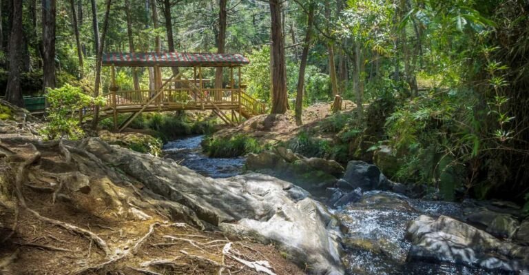 Cuáles son los mejores lugares para visitar en Medellín sin gastar dinero 4 Cuáles son los mejores lugares para visitar en Medellín sin gastar dinero
