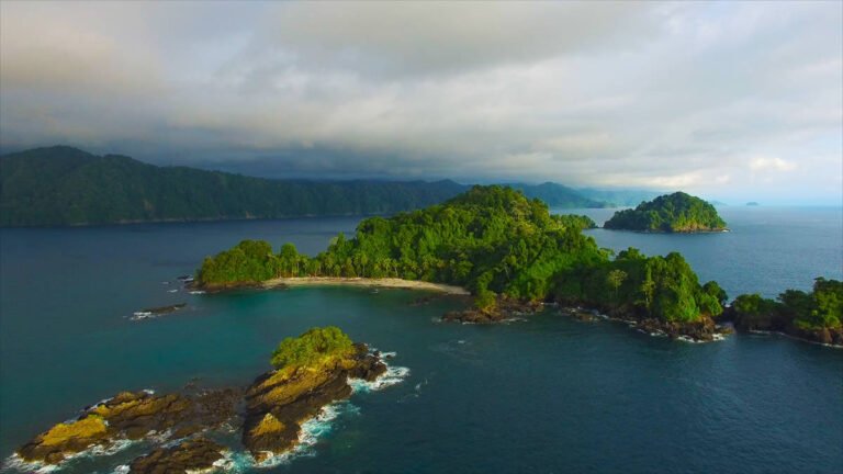 Qué lugares visitar en Nuquí y Bahía Solano para disfrutar del turismo 8 Qué lugares visitar en Nuquí y Bahía Solano para disfrutar del turismo