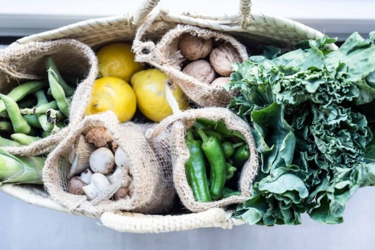 Qué productos y servicios ofrece el catálogo de Naturaleza y Vida 8 Qué productos y servicios ofrece el catálogo de Naturaleza y Vida