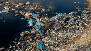 residuos solidos en un paisaje natural