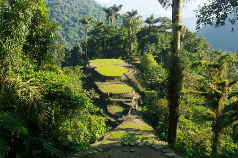 Dónde se encuentra el Parque Tayrona y cómo llegar a la Ciudad Perdida 12 sendero hacia la ciudad perdida en colombia