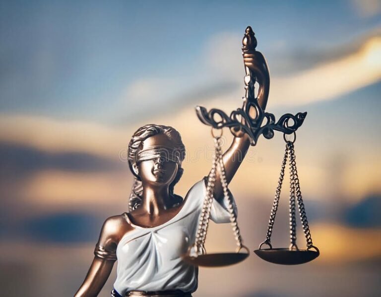 Qué Son los Derechos Fundamentales y Cómo se Estructura el Estado 3 Qué Son los Derechos Fundamentales y Cómo se Estructura el Estado